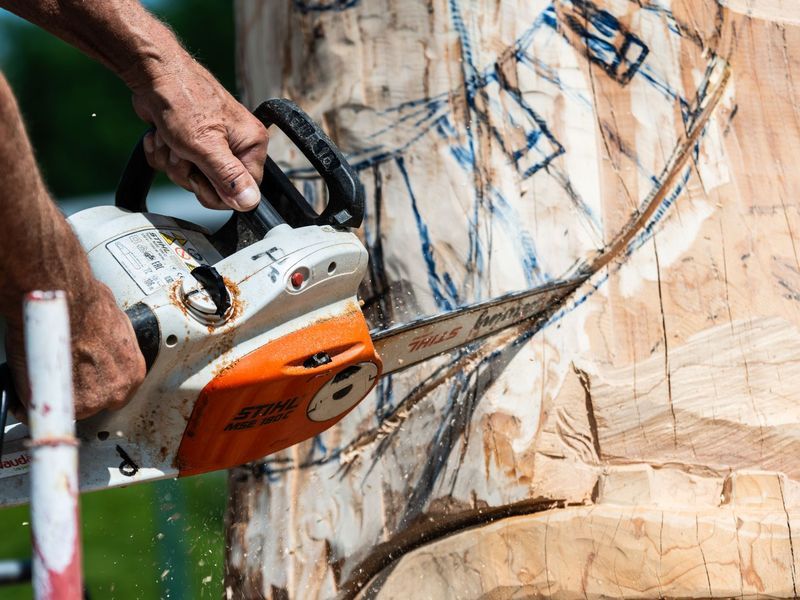 Tree removal in Silver Spring area, MD