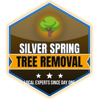 Silver Spring Tree Removal logo, tree removal in Silver Spring